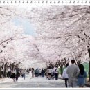 석정주유소 이미지