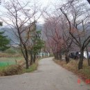 지경하우스 Daum카페