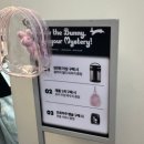 댕댕이타요(22고 0713) | 성수 팝업스토어 10월 혜자 투쿨포스쿨 팝업&amp;오플릭