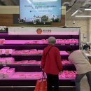 세종한우 이미지