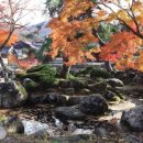 땅끝조각공원화장실 이미지