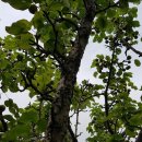 따러와PC 이미지