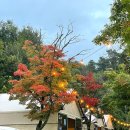 숲이야기 | 포천 풀타프 키즈 캠핑장 광릉숲이야기캠핑장 D1 이용 후기