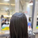 운정미용실_이철헤어커커 파주운정이마트점 방문후기