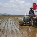 소집농장 이미지