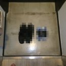 뉴캐슬나이트클럽 | 대구뉴캐슬나이트 홈런후기