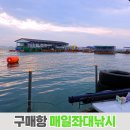 매일좌대낚시 이미지