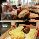 베비에르