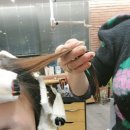 코스모폴리탄 | (부천 중동) 부천 중동 미용실 "경미연 헤어" 단발 C컬 펌 후기