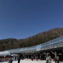 칠갑산파크 | 아기랑 가볼만한 곳 <충남 청양 알프스 마을 칠갑산 얼음 축제> 후기(+주차, 수유실, 먹거리 정보)