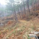 금강송면사무소 이미지