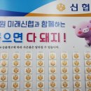 뽑으면 돼지 이미지