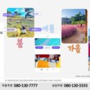 봄여름가을겨울 홈쇼핑