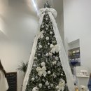 전라감영 화장실 | 출신 바리스타가 말아주는 핸드드립, 전주 웨리단길 전라감영 근처 신상 카페 '플랫메이트' 내돈내산 후기