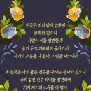 밭에 감추인 보화 비유와 값진 진주 비유(마태복음13장:44~46) 이미지