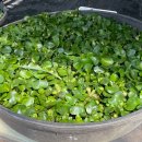 대림가든 이미지