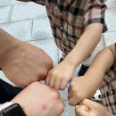 호캉스 서울신라호텔 비지니스 디럭스 더블룸 후기(+엑스트라베드 추가했어요), 서울신라호텔 얼리...
