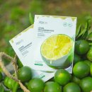 (주)테라웍스 이미지