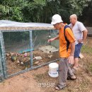 옥동양계장 이미지