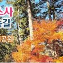 부안 내소사 전나무숲길 전북여행 부안 변산반도 가볼만한곳 이미지