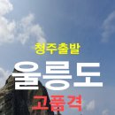 (주)다온여행사 이미지