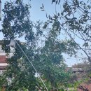 예쁜사랑어린이집 이미지