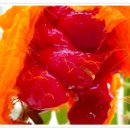 양원농장 이미지