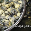 제주 서귀포 보말 칼국수.gif 이미지