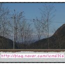 다덕축구장 이미지