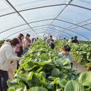 대덕농장 이미지