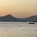 밤비노집 이미지