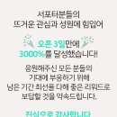 미스터클리너서 이미지