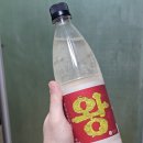 왕막걸리 | 술쥐의막걸리뷰 :: 순천주조 왕막걸리 후기