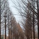 오산리최자실기념금식기도원 | 오산리 최자실 기념 금식 기도원