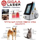 여수동물병원 이미지