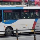뉴시티약국 이미지