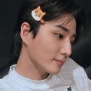 프롬케이 이미지