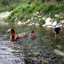 용문산그린펜션 이미지