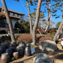 알미뜽 | 대구근교 찜질방 청도 알미뜽 아이랑 후기