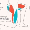 더 플레이 짐 농성점 네이버블로그