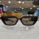 트랜디카 이미지