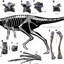 (주)노리아 | 카르니아아 기 초기 수각류 공룡 아르헨서 보고
