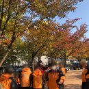 원골어린이공원 이미지