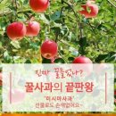 별빛촌 성재농장 이미지