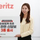 메리츠화재 이미지