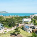 소나무를 품다 이미지