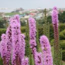영주FM방송, 투데이 뉴스 읽기, 9월 23일 (영주시, 봉화군, 예천군)