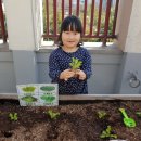 성현수정 이미지