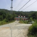 상동림 Daum카페