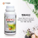 (주)엔트리 이미지